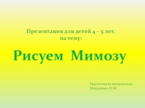 Презентация для детей 4 – 5 лет, на тему: Рисуем мимозу