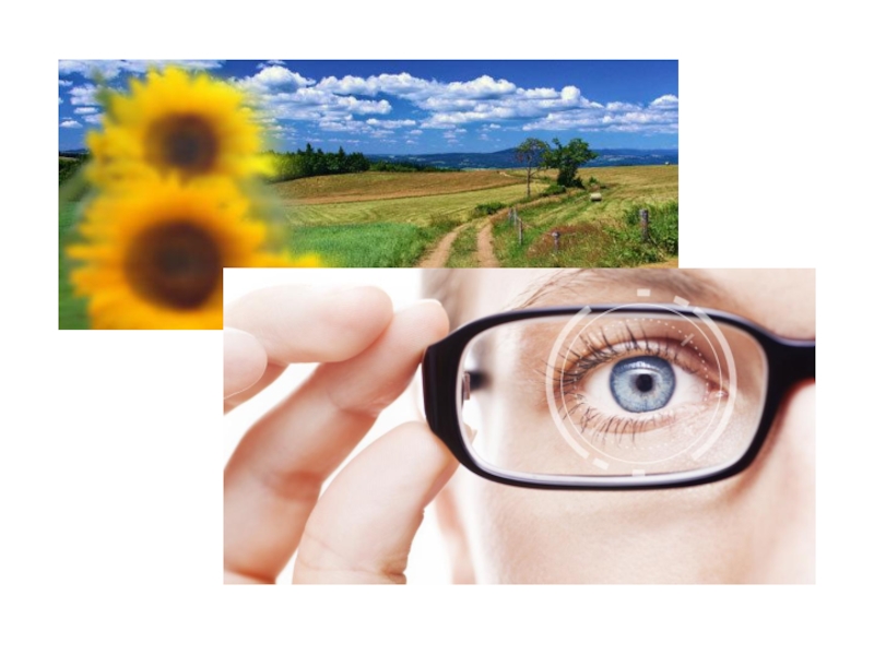 Оценка качества зрения. Возможности человеческого глаза. Особенности человеческого зрения. Возможности и особенности человеческого глаза. Глаза наглядность.
