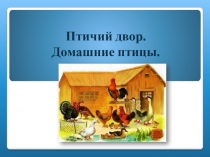 Презентация для дошкольников Домашнии птицы