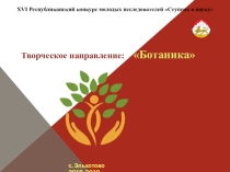 Тема: Влияние пасынкования на урожайность помидоров на собственном огороде.