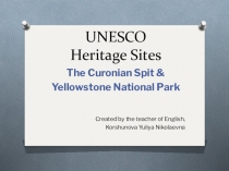 Презентация к уроку английского языка в 6 классе по УМК Rainbow English, тема The country across the ocean