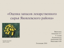 Презентация Оценка запасов лекарственного сырья Яковлевского района