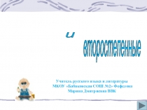 Презентация по русскому языку Второстепенные члены предложения