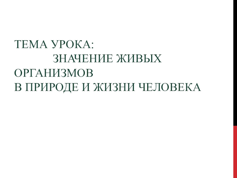 Значение живых организмов в природе и жизни человека. Значение живых организмов в жизни человека. Значение живых организмов в природе. Значение живых организмов в природе и жизни человека 5 класс биология.