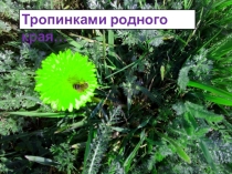 Сокровенные уголки нашей Родины