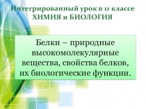 Интегрированный урок по химии и биологии Белки – природные высокомолекулярные вещества, свойства белков, их биологические функции