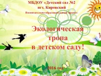 Презентация Экологическая тропа в детском саду