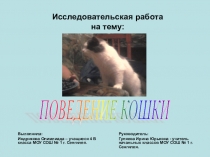 Презентация по окружающему миру