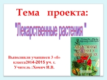 Презентация Проект Лекарственные травы
