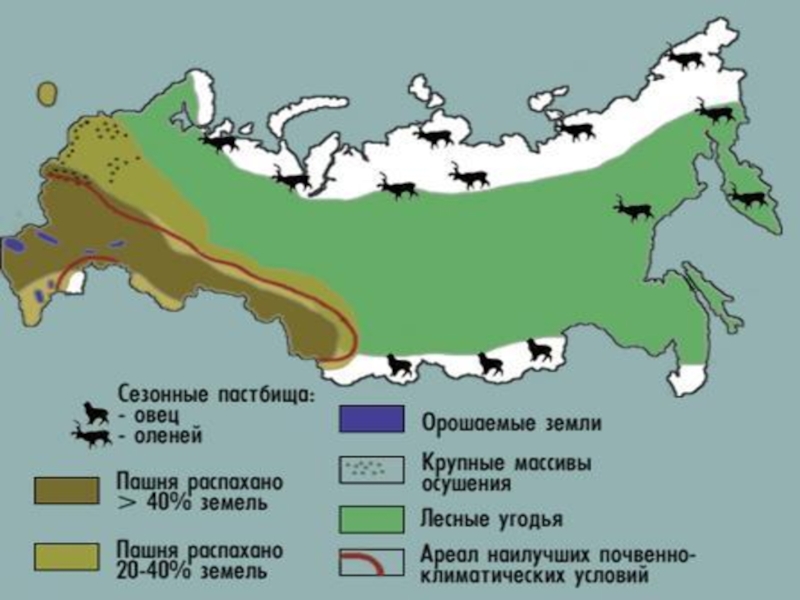 Карта степей украины