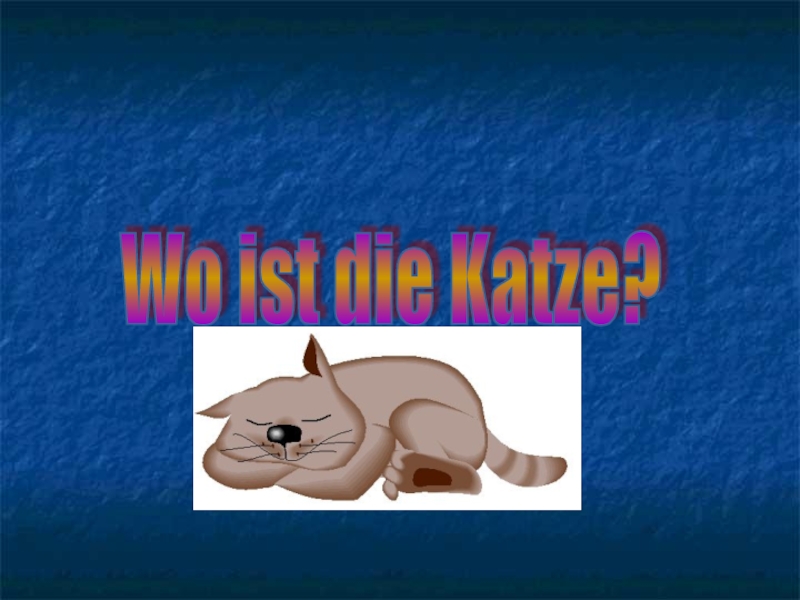 Die katze ist