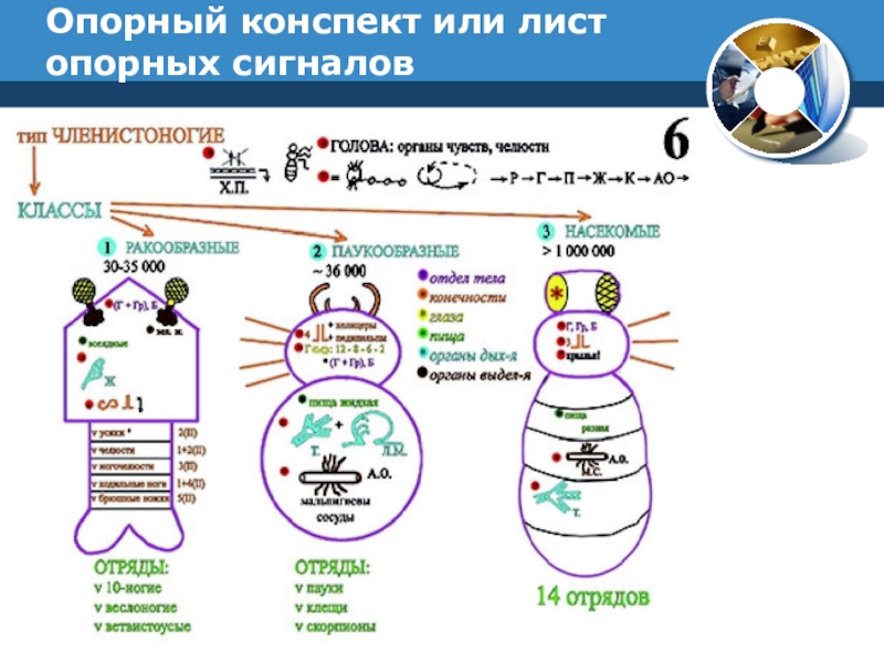 Основный конспект. Опорные сигналы Шаталова по биологии. Опорный конспект Шаталова по химии. Опорные сигналы Шаталова по географии. Опорные конспекты Шаталова по биологии.