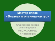 Мастер-класс Вязаная игольница -Кактус