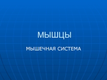 Мышцы