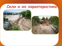 Сели