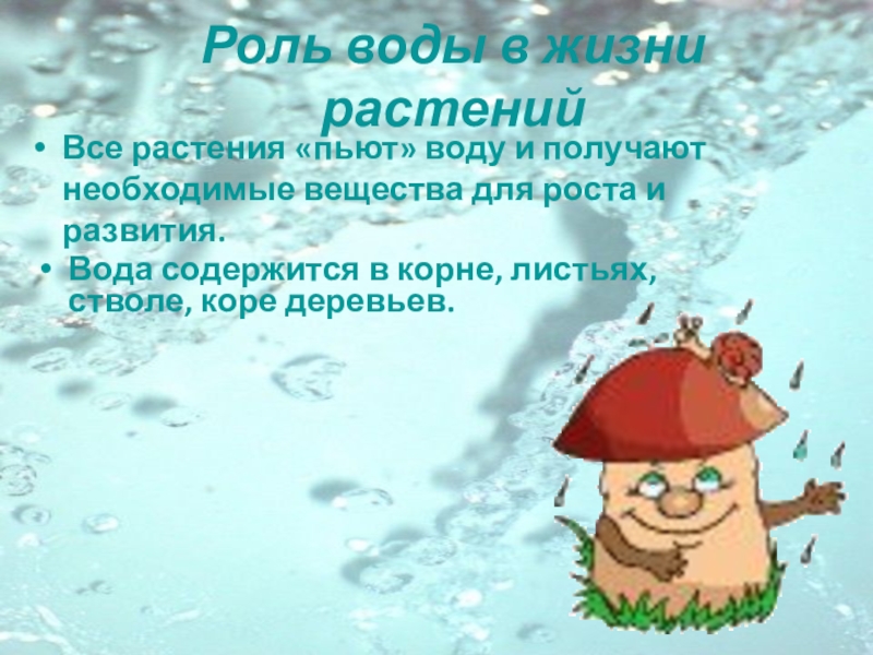 Роль воды в жизни животных и растений. Роль воды для растений. Роль воды в жизни растений. Вода источник жизни растений. Значение воды в жизни растений.