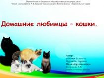 Презентация к исследовательской работе на тему  Домашние любимцы - кошки.