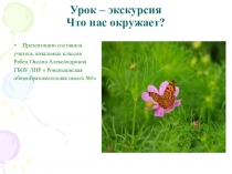 Презентация к уроку-экскурсии Что нас окружает