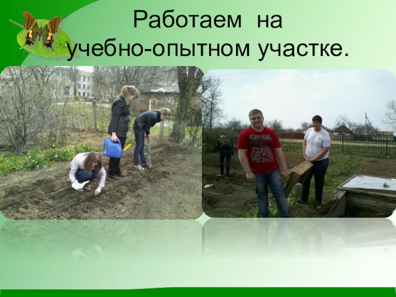 Презентация по экологии на тему Чистое село - чистая душа Работаем на учебно-опытном участке. Работаем на учебно-опытном участке.