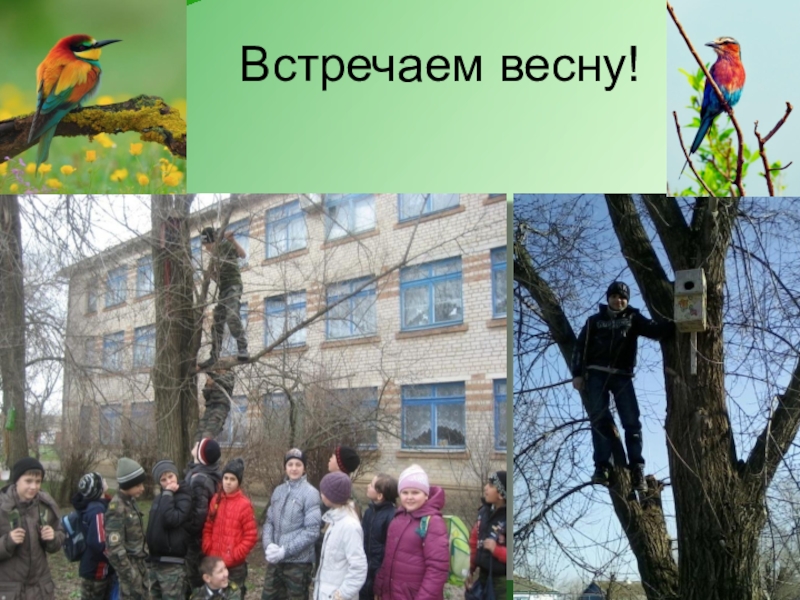 Презентация по экологии на тему Чистое село - чистая душа Встречаем весну! Встречаем весну!