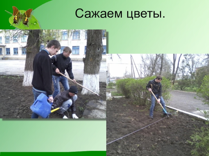 Презентация по экологии на тему Чистое село - чистая душа Сажаем цветы. Сажаем цветы.