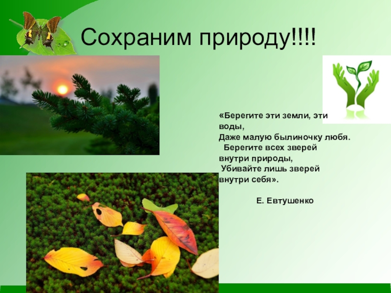 Презентация по экологии на тему Чистое село - чистая душа Сохраним природу!!!!«Берегите эти земли, эти воды,Даже малую былиночку любя. Берегите Сохраним природу!!!!«Берегите эти земли, эти воды,Даже малую былиночку любя. Берегите всех зверей внутри природы, Убивайте лишь