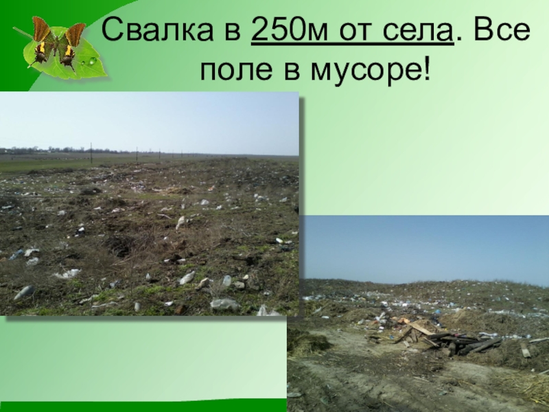 Презентация по экологии на тему Чистое село - чистая душа Свалка в 250м от села. Все поле в мусоре! Свалка в 250м от села. Все поле в мусоре!
