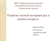 Развитие мелкой моторики (презентация)