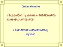 Презентация открытого внеклассного мероприятия