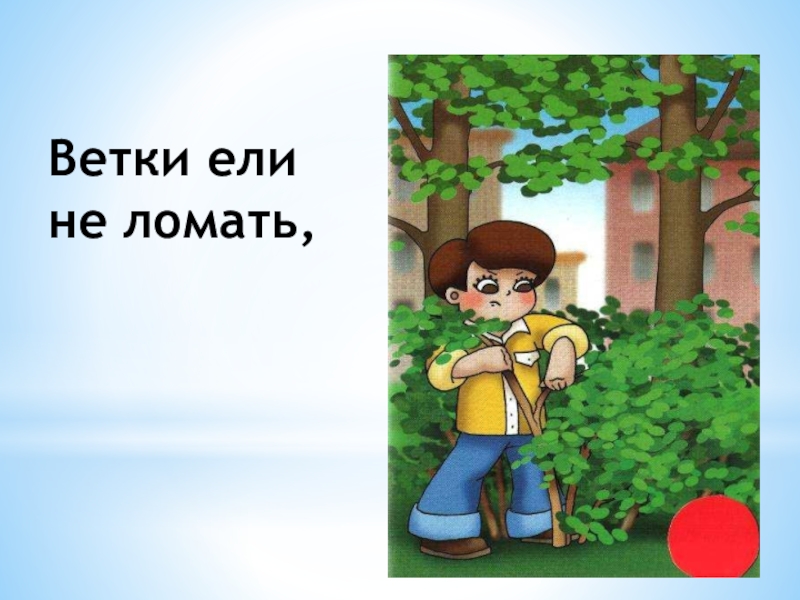 Деревья нельзя. Ломать деревья. Ломать деревья в лесу. Не ломать деревья в лесу. Дети ломают ветки деревьев.