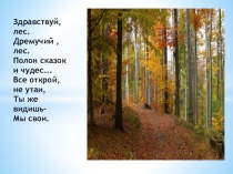 Здравствуй лес, дремучий лес...
