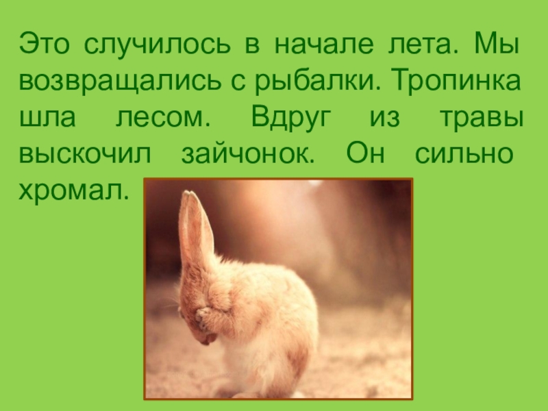 Когда ребята вернутся мы пойдем в лес. Это случилось в начале лета мы возвращались. Вдруг из травы выскочил Зайчонок. Это случилось в начале лета мы возвращались с рыбалки. Изложение это случилось в начале лета мы возвращались с рыбалки.