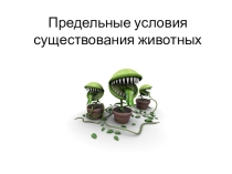 Презентация по экологии животных  Предельные условия существования животных (7 класс)