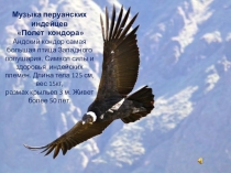 Презентация к уроку по теме Южная Америка