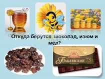 Презентация по окружающему миру Откуда берется шоколад