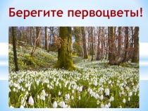 Презентация к Внеклассному мероприятию Берегите первоцветы! (3-4 класс)