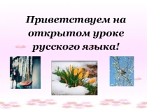 Презентация по русскому язык на тему Мягкий знак на конце слов после шипящих