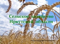 Презентация к уроку географии Иркутской области Сельское хозяйство