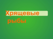 Презентация Хрящевые рыбы(7 класс)