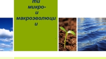 Презентация по биологии на тему Микро и макроэволюция (11 класс)