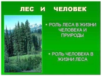 Презентация: Лес и человек!