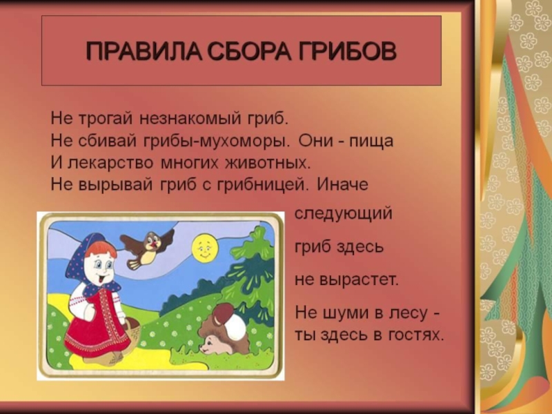 Правила алисы. Правила сбора грибов. Памятка о правилах сбора грибов. Правило собирание грибов. Правила сбора грибов для детей.