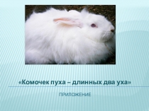 Презентация к исследовательской работе Комочек пуха, длинные два уха