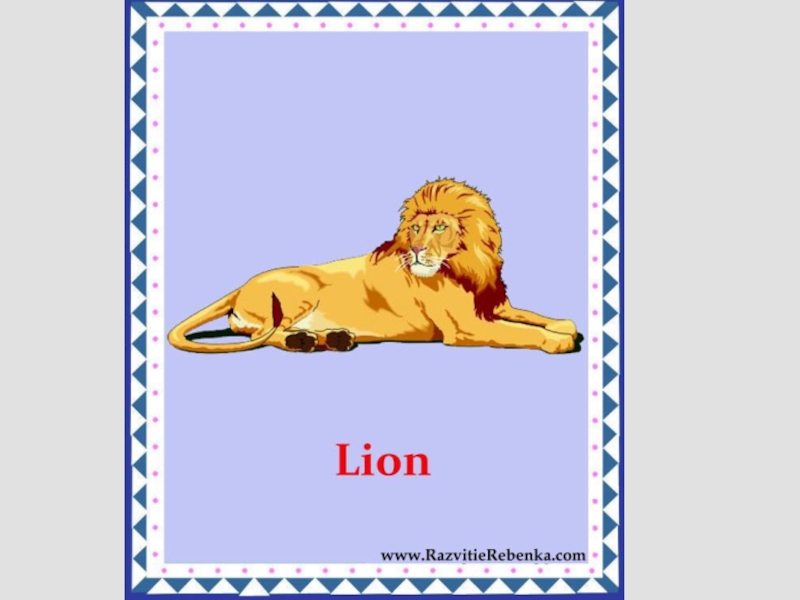 Как переводится лев. Лев карточка для детей. Карточки по английскому языку Лев. Название животных на английском карточки. Карточки для детей животные Лев.