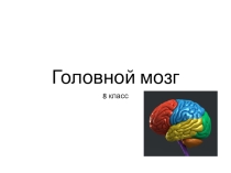 Презентация Головной мозг 8 класс