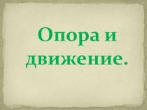 Презентация к интегрированному уроку по биологии и математике на тему Опора и движение (7 класс)