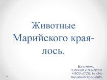 Презентация к уроку ИКН: Животные Марийского края-лось
