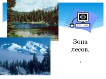 Защита леса