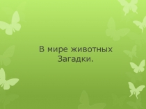Загадки В мире животных