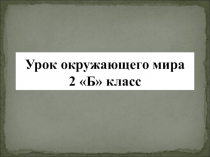 Презентация по окружающему миру Пресмыкающиеся- обитатели леса(2 класс)